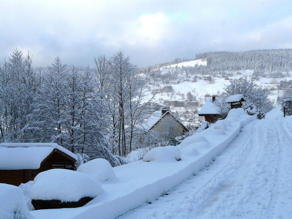 Chalet Les Sapins Argentes Gerardmer Phòng bức ảnh