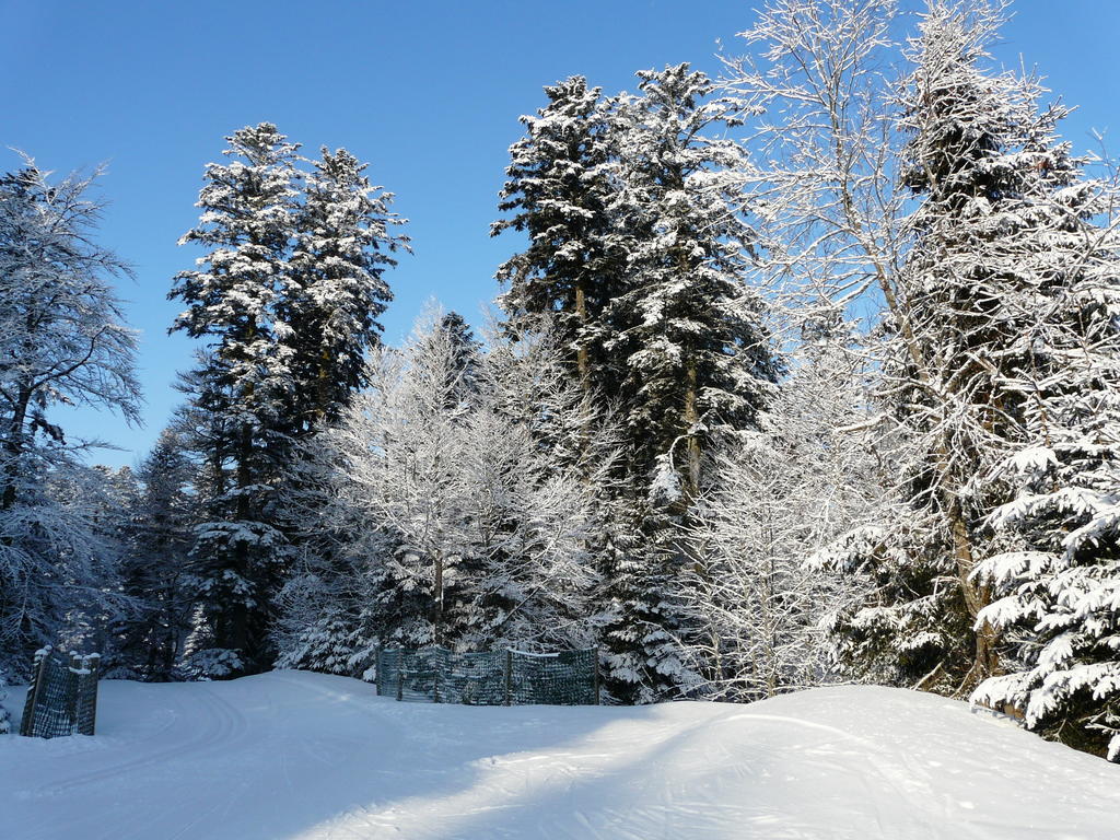 Chalet Les Sapins Argentes Gerardmer Phòng bức ảnh