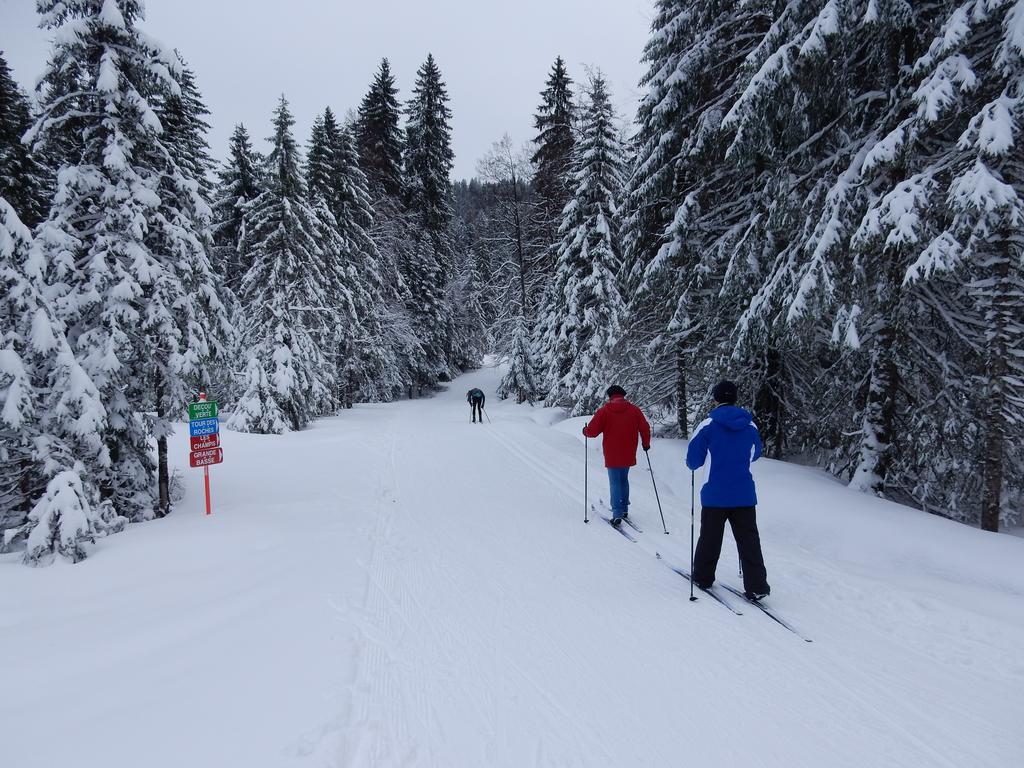 Chalet Les Sapins Argentes Gerardmer Ngoại thất bức ảnh