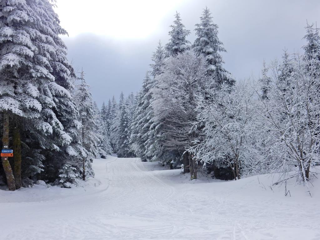 Chalet Les Sapins Argentes Gerardmer Ngoại thất bức ảnh