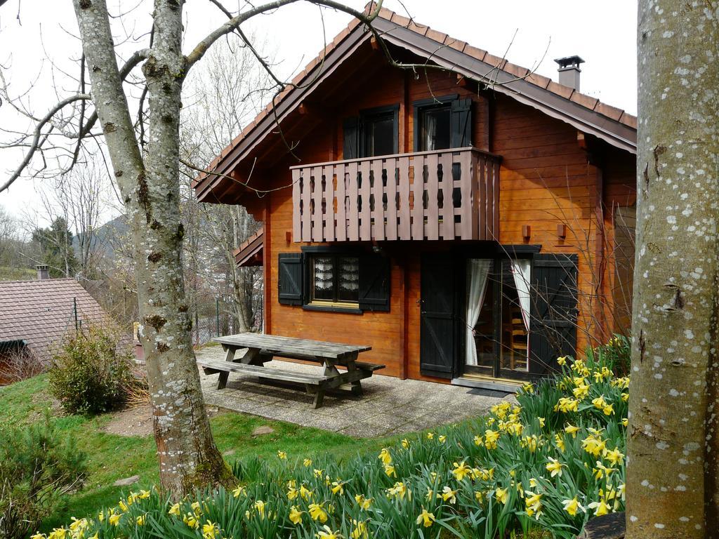 Chalet Les Sapins Argentes Gerardmer Ngoại thất bức ảnh