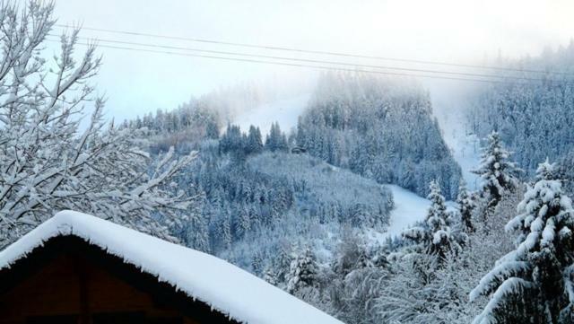 Chalet Les Sapins Argentes Gerardmer Ngoại thất bức ảnh